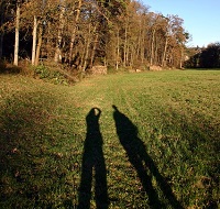 散歩するカップルの影