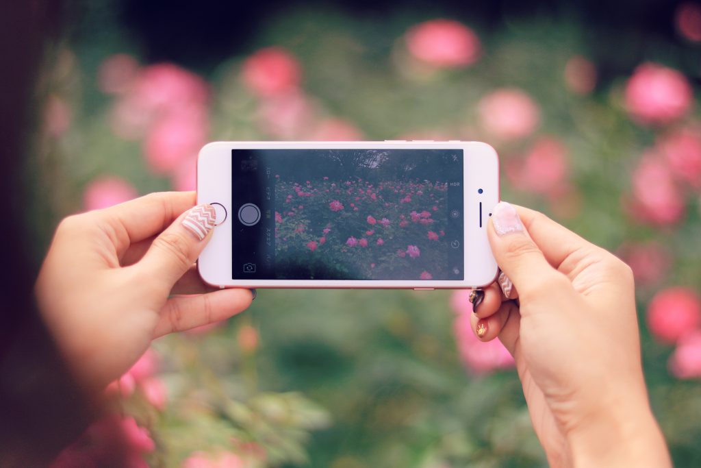 花を撮影中のスマートフォン